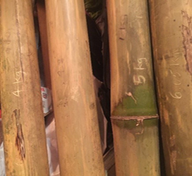summit corp mature bamboo sticks