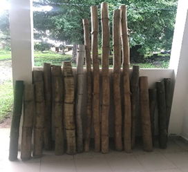 summit corp mature bamboo sticks